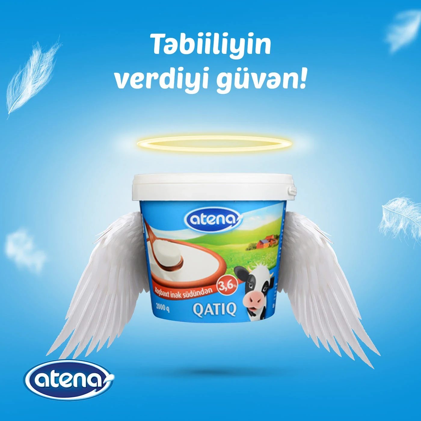 Yoghurt — product composition