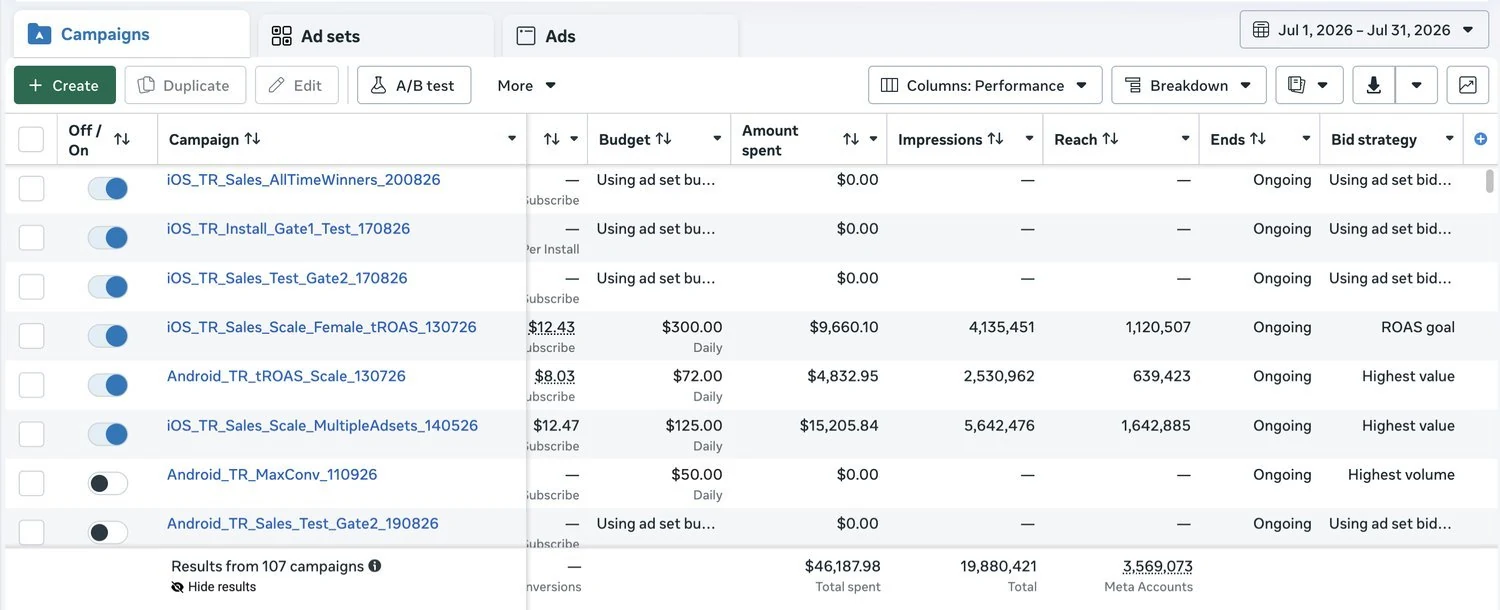 Meta campaign structure — selected account view